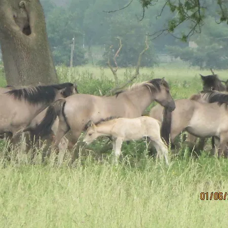 Haus Kummer Apartamento *