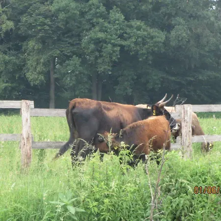 Apartamento Haus Kummer Selm