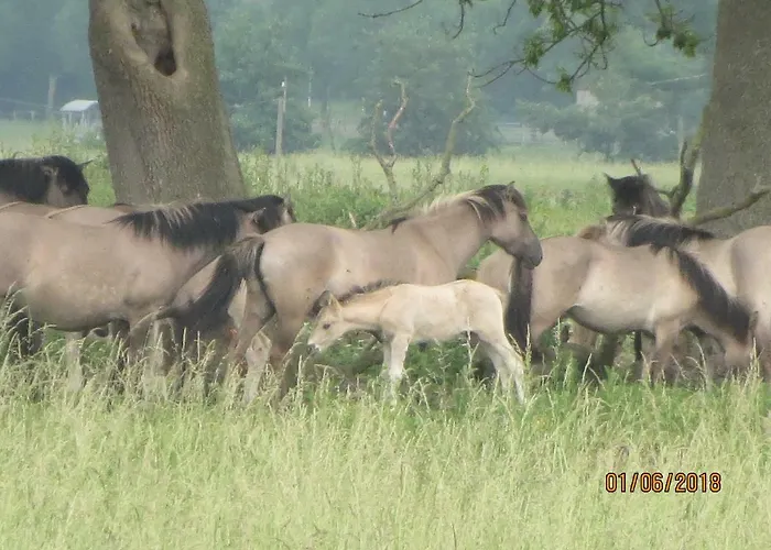 Haus Kummer Apartamento *