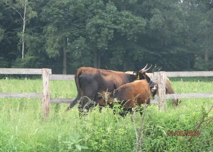 Apartamento Haus Kummer Selm